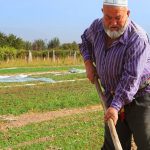 Мужчина, работающий в поле в Таджикистане
