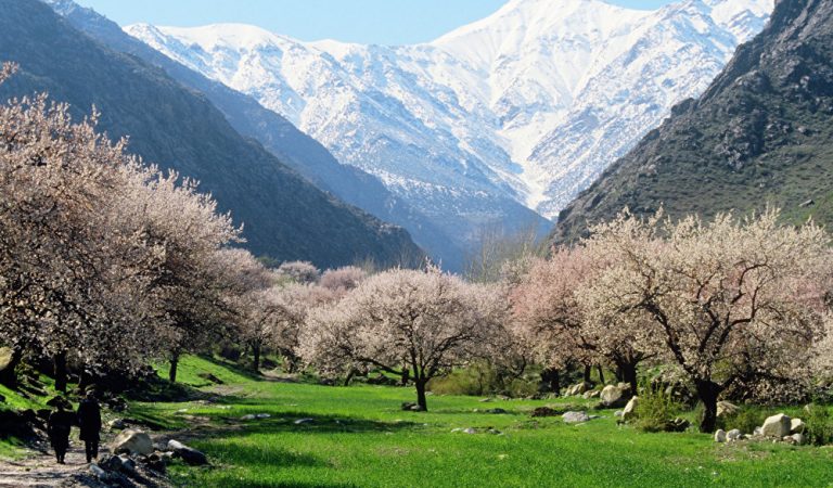 Таджикистан вошел в пятерку стран с самым загрязненным воздухом в 2021 году
