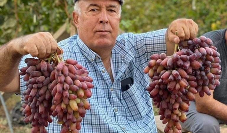 От работы в органах до виноградарства. Как Искандар Розиков стал профессиональным виноградарем