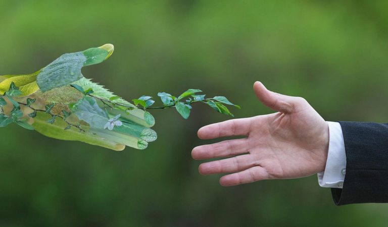 «Бизнес-среда»: как беречь экологию и при этом экономить на производстве
