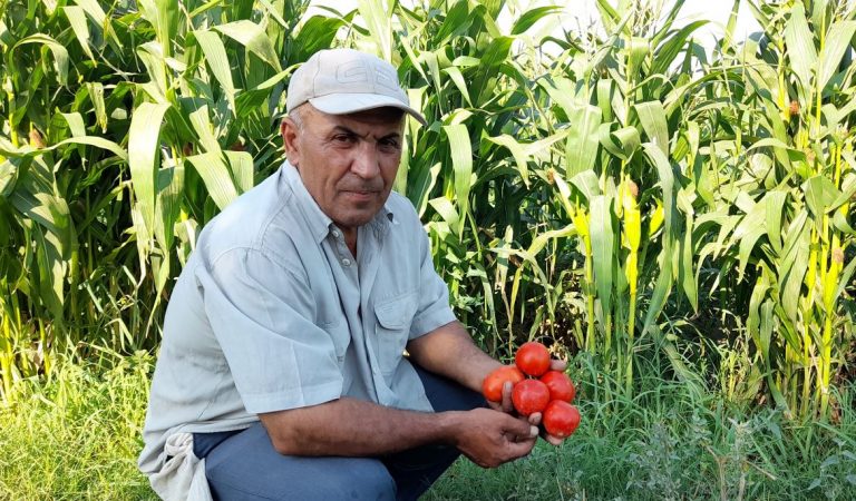 Овощевод из Унджи: «Повышение стоимости сельхозпродуктов — не дело рук фермеров»