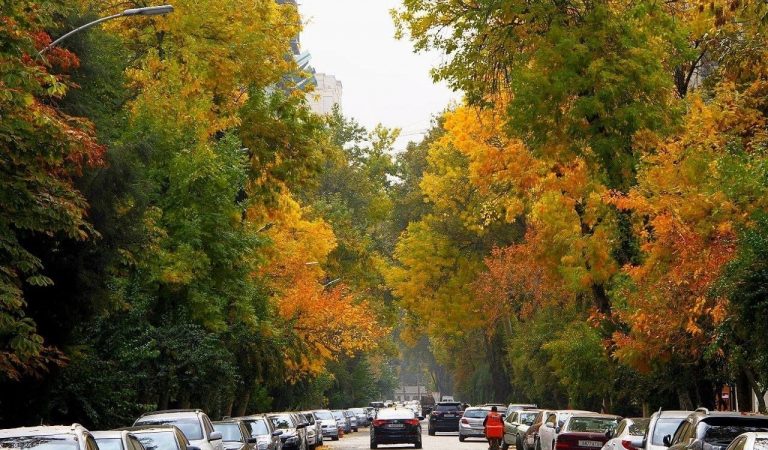 5 мест, куда можно сходить молодежи в Душанбе этой осенью, чтобы хорошо провести время