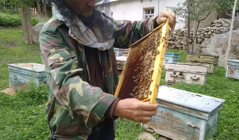 Назарбек-пчеловод. Кто на Памире занимается разведением пчел