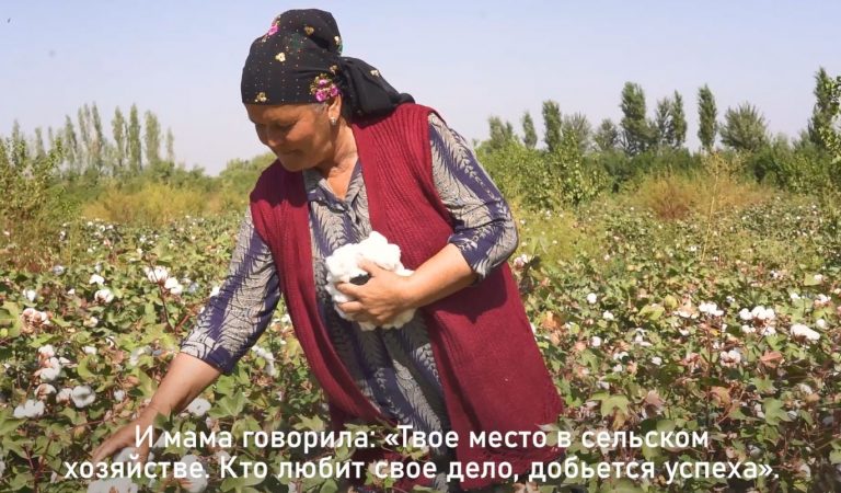 Женщина-бригадир: путь от простой колхозницы до руководителя дехканского хозяйства
