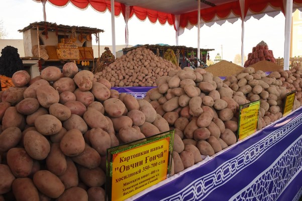 Дар Душанбе Фестивали картошка барпо мегардад. Акнун нархи он поён мешавад?