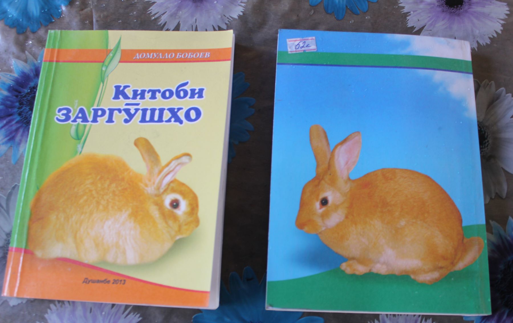 Пособие по разведению кроликов на таджикском языке