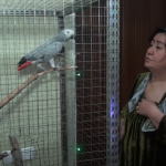 Наимахон Нормухамедова со своим говорящим попугаем