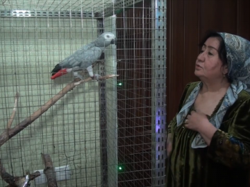 Наимахон Нормухамедова со своим говорящим попугаем