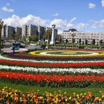 Таджикистан, Душанбе, фотографии тюльпанов