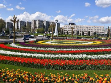 Таджикистан, Душанбе, фотографии тюльпанов