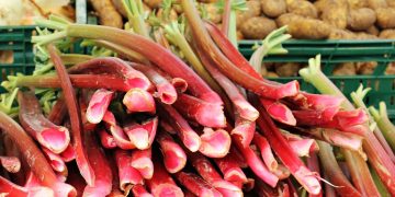 Ревень в Таджикистане называют кислячкой