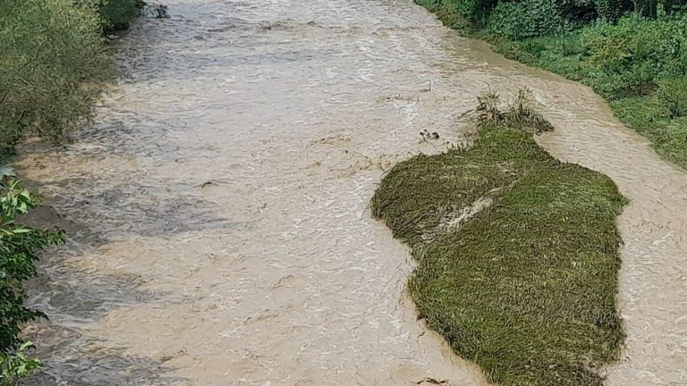 Наводнение в Пяндже