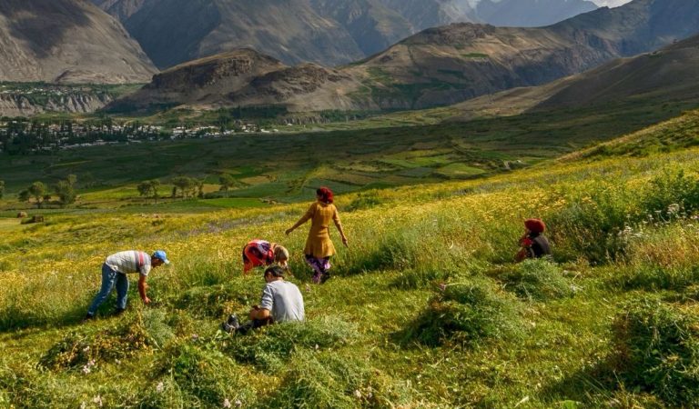 Как в высокогорном Таджикистане принимают туристов в бесплатном хостеле