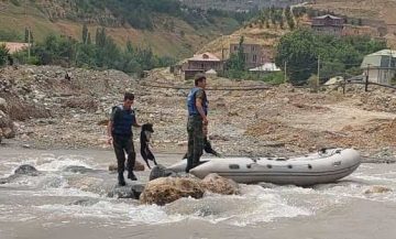 Сагеро аз дарёи Варзоб наҷот доданд