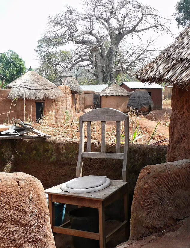 Туалет в Бенине, расположенный на возвышении посреди деревни