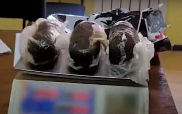 Боздошти шаҳрвандони Тоҷикистон дар Узбекистон барои қочоқи маводи мухаддир