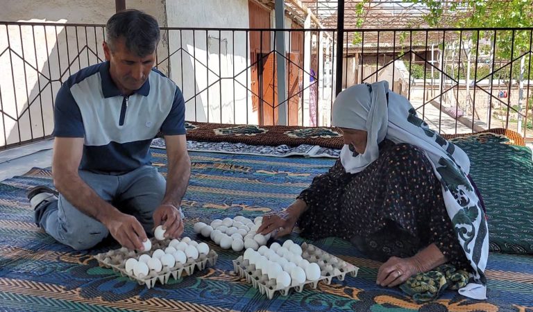 Как домашнее птицеводство спасает жителей юга Таджикистана от миграции