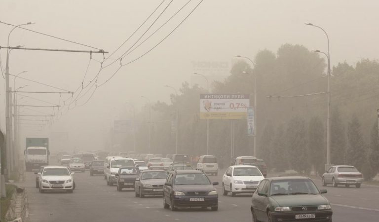 По итогам 2024 года Таджикистан вошел в десятку стран с самым загрязненным воздухом