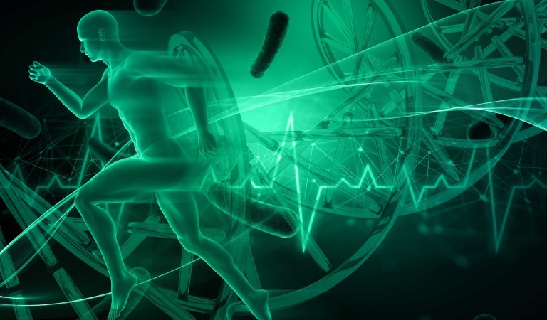 Биохакинг для мужчин: что это такое, как повысить тестостерон и вернуть мужскую силу после 30 лет