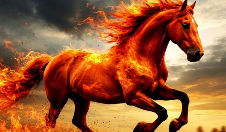 Астрологический прогноз на 2026 год: что готовит год Огненной Лошади