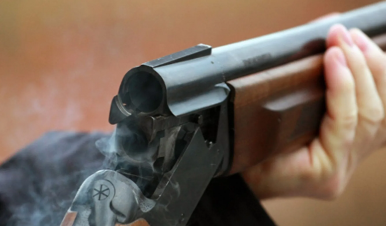 Дар Турсунзода марди 28-сола ҳангоми кӯшиши ғорат аз ҷониби соҳиби хона тир хӯрдааст