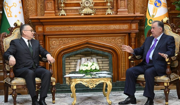 Эмомалӣ Раҳмон бо Дабири кулли СААД мулоқот намуд